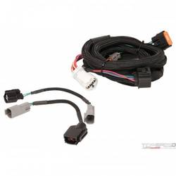 Harness Ford (4R70W/75W 98-up)